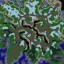 FOTW: Black"Rock Orcs 13 - Warcraft 3 Custom map: Mini map