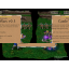 Castle Wars - Professionals Warcraft 3: Map image
