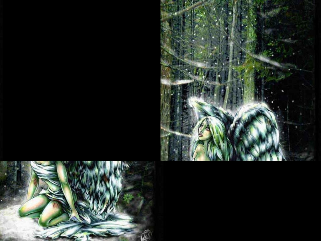 Angel Arena : Morphed WaR! - Warcraft 3: Custom Map avatar