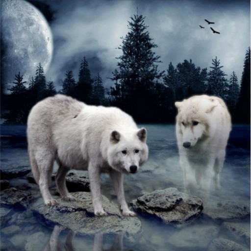 Drts v4.5.7B - Warcraft 3: Custom Map avatar