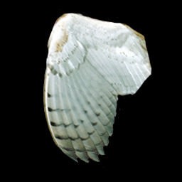 Heros of the Abyss - Warcraft 3: Custom Map avatar