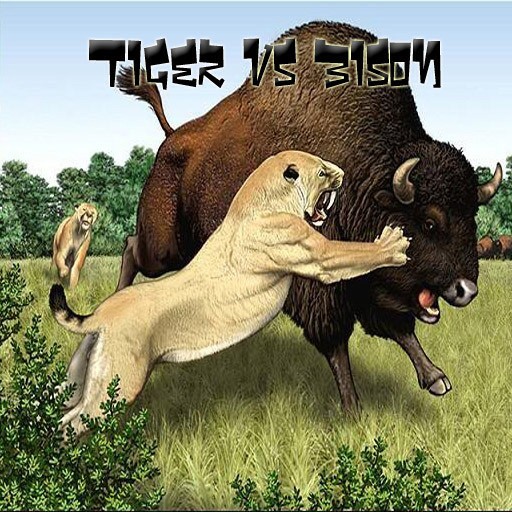 Tiger vs Bison v0.8 - Warcraft 3: Custom Map avatar