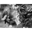 Triple AoS Warcraft 3: Map image