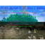 Prison Escape - Remake Warcraft 3: Map image