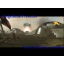 Starcraft Zonecontrol RoC Warcraft 3: Map image