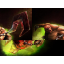 Slide Pudge Slide - Pros Warcraft 3: Map image