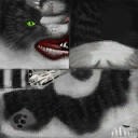 Tom and Jerry 2012 v.1.2 - Warcraft 3: Custom Map avatar