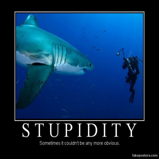 Are YOU a Retard? Part 5 - Warcraft 3: Custom Map avatar