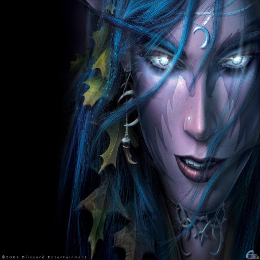 Do0M - Warcraft 3: Custom Map avatar