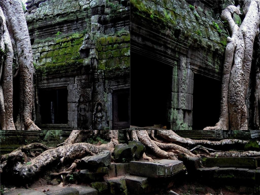 Dungeon Secrets - Warcraft 3: Custom Map avatar