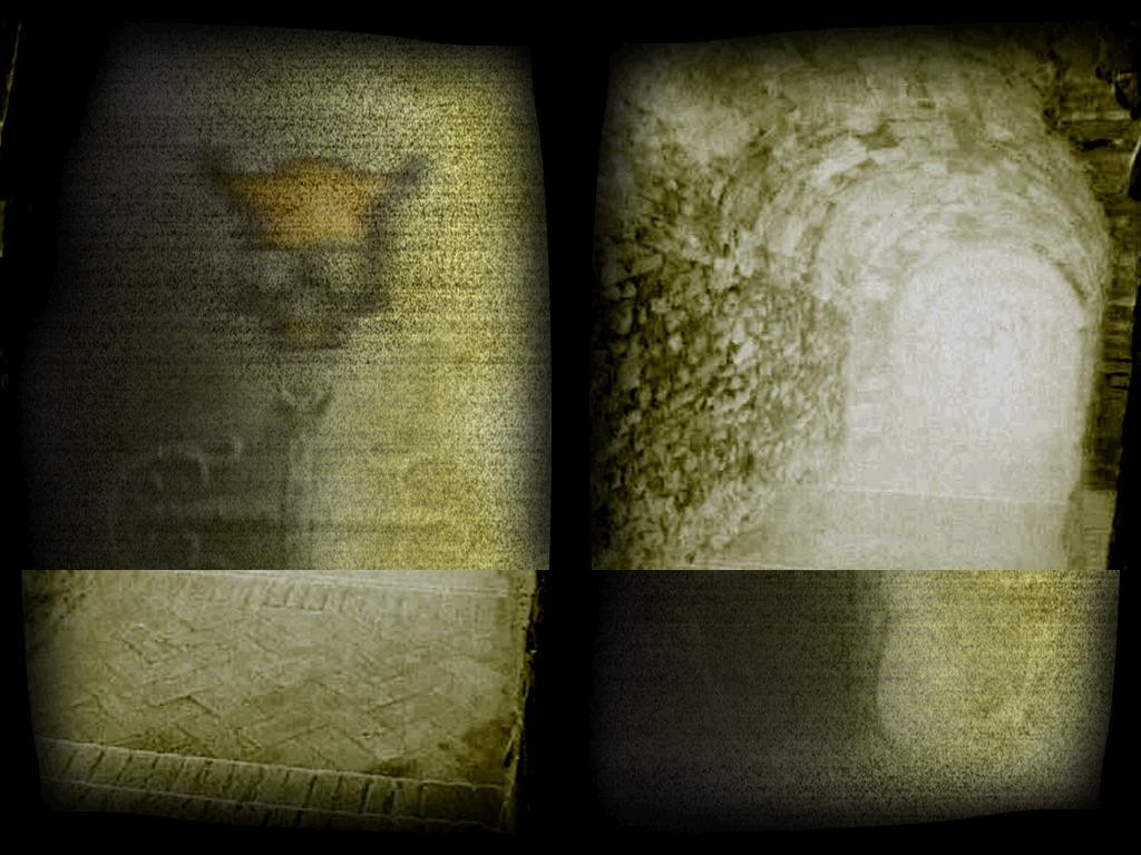 Dungeonmaster - Warcraft 3: Custom Map avatar