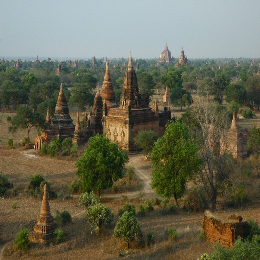 Horde vs Alliance Wetlands II 2.30 - Warcraft 3: Custom Map avatar