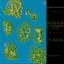 Island Colonizer Warcraft 3: Map image