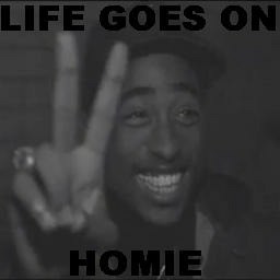 Life goes on - Warcraft 3: Custom Map avatar