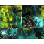 LoK Warcraft 3: Map image