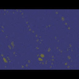 Pacific Wars .01e - Warcraft 3: Custom Map avatar