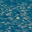 Priestess of the Moon Combat v4.3 - Warcraft 3: Custom Map avatar