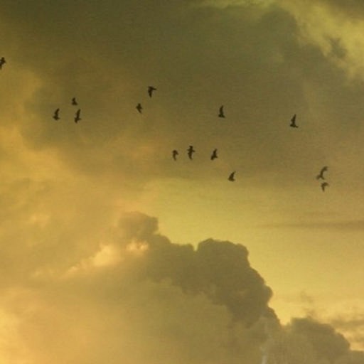 Regiment Wars v0.8.9 beta - Warcraft 3: Custom Map avatar