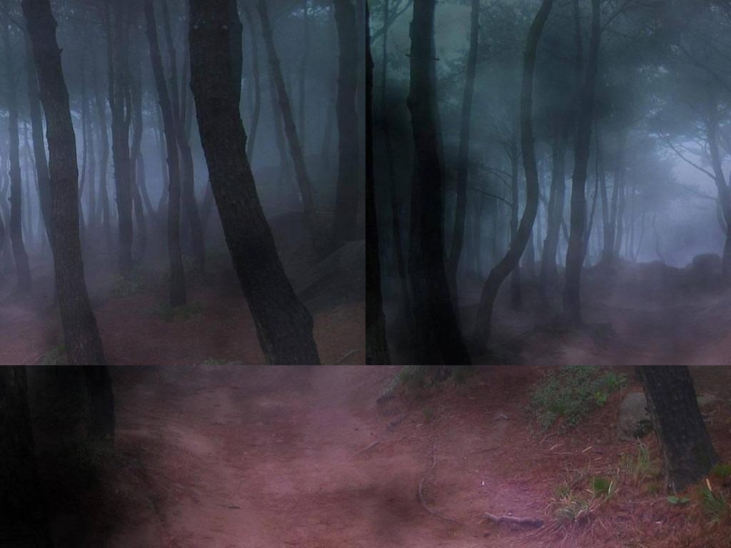 Тёмный лес ! - Warcraft 3: Custom Map avatar