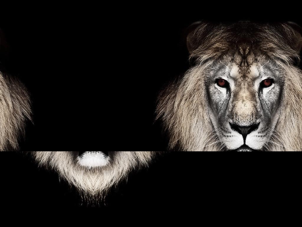 Ukininkai Vs Plesrunai EDITED - Warcraft 3: Custom Map avatar