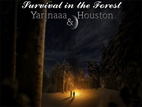 Выживание в лесу 1.0.3 - Warcraft 3: Custom Map avatar