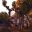 Tree Tag - Trembler Warcraft 3: Map image