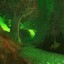 Tree Tag Felwood - BR Warcraft 3: Map image