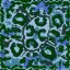 War of Pain Warcraft 3: Map image